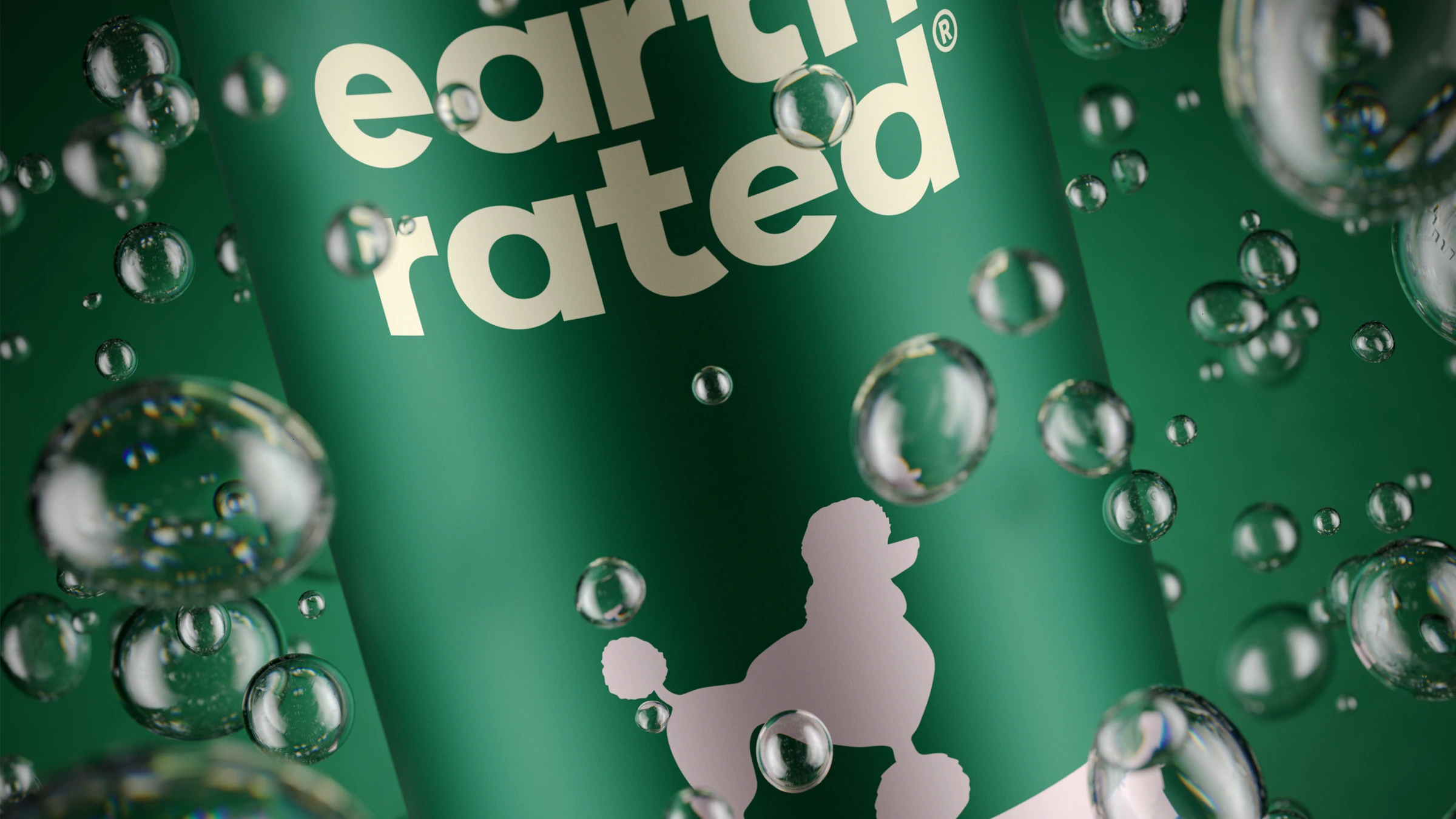 3D Rendering Packaging